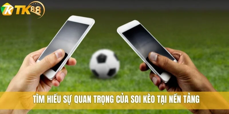 Cách soi kèo bóng đá TK88 chuẩn nhất cho người mới chơi 1 Tìm hiểu sự quan trọng của soi kèo tại nền tảng